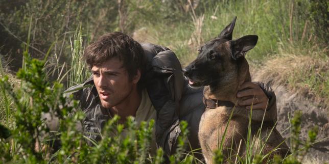 Au cinéma, le chien, compagnon indispensable de l’homme apocalyptique
