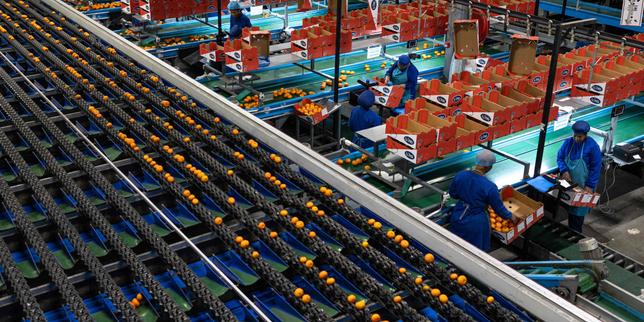 Les économies africaines résistent mieux que prévu aux turbulences au Moyen-Orient