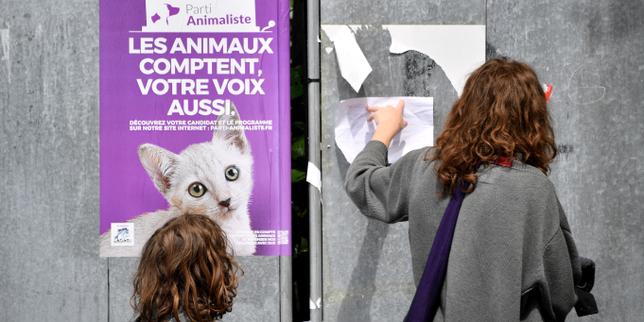 Présidentielle 2027 : le Parti animaliste annonce la candidature de Mira Markovic