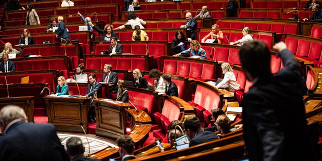 Violences sexuelles et familiales : les députés approuvent la création d’une instance, indépendante du gouvernement
