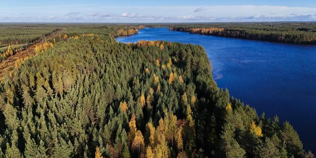Finland orders halt to work on Google data centers over environmental concerns