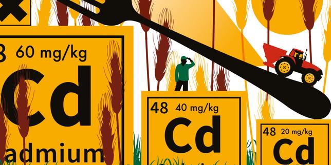 Cadmium : après des années d’inaction, le gouvernement s’engage à suivre les recommandations des autorités sanitaires