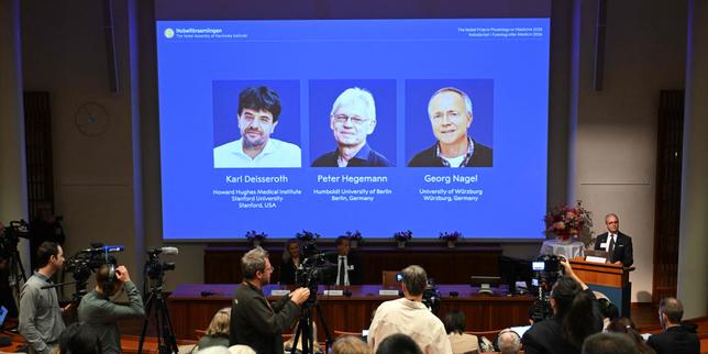 Prix Nobel de médecine 2026 : un Américain et deux Allemands récompensés pour leur technique d’activation des neurones par la lumière
