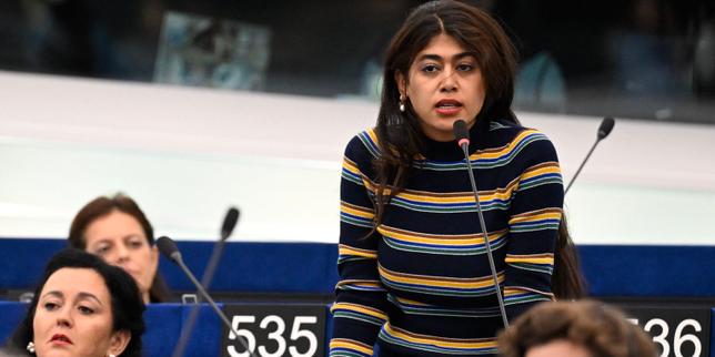 French MEP accused of removing Israeli flag at European Parliament exhibition