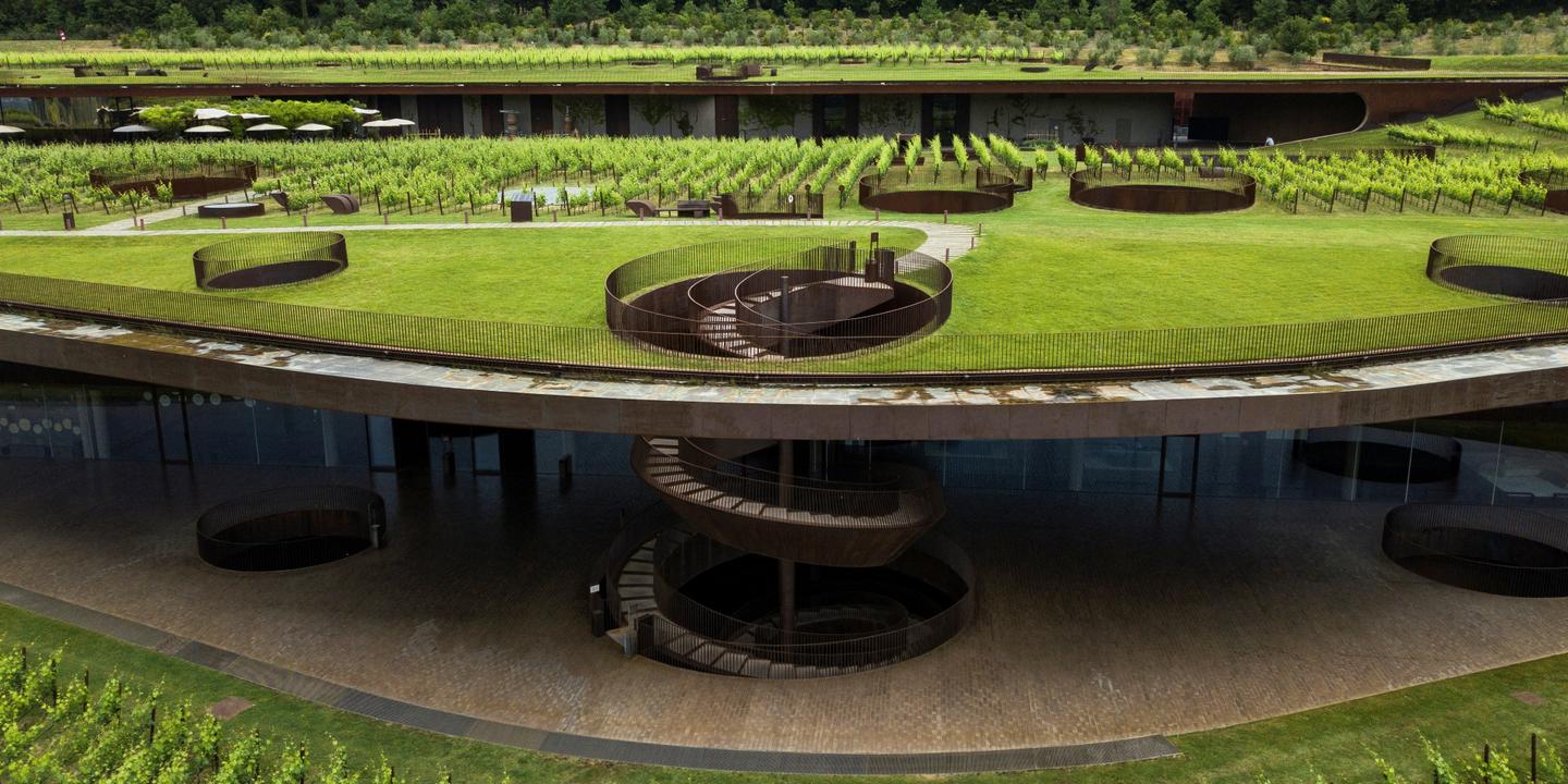 Thieves steal wine worth 5 million from Italian vineyard