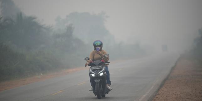 En Indonésie, la pollution de l’air due aux incendies a causé la mort de 3 560 personnes en septembre
