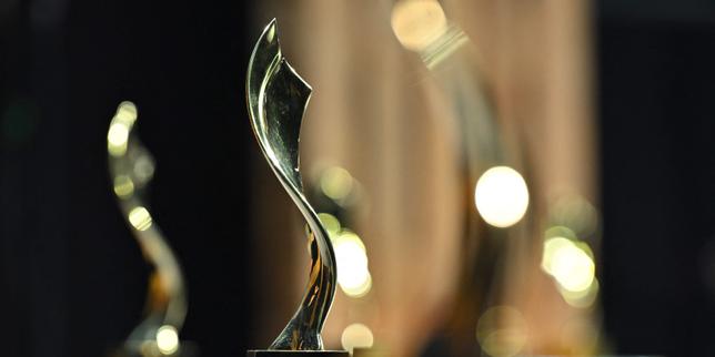 Bayeux war correspondent awards: Palestinian Mahmoud Abu Hamda photography prize