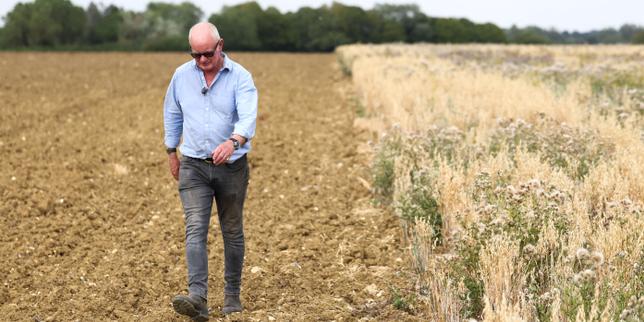 En Angleterre, les paysans sont rémunérés pour s’occuper de la nature : « C’est devenu une source de revenus indispensable »