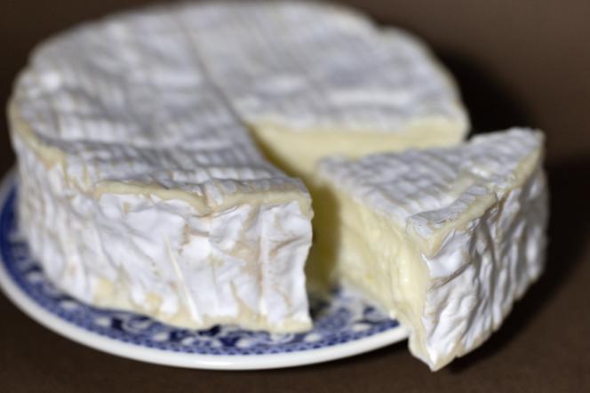 Un camembert photographié à Quimper (Finistère), en août 2025. - FRED TANNEAU/AFP