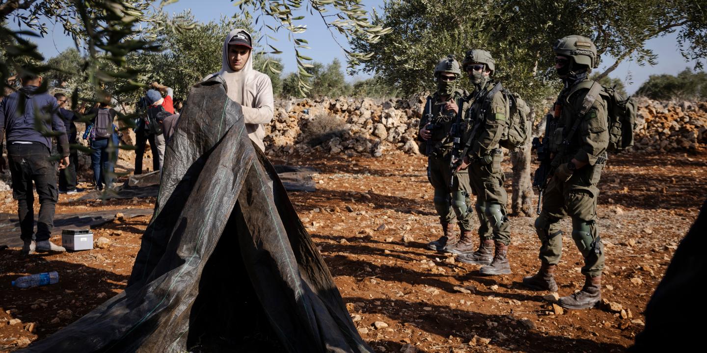 « Un tsunami de terrorisme juif » : en Cisjordanie occupée, derrière la violence des colons pendant la récolte des olives, une opération de nettoyage ethnique à grande échelle