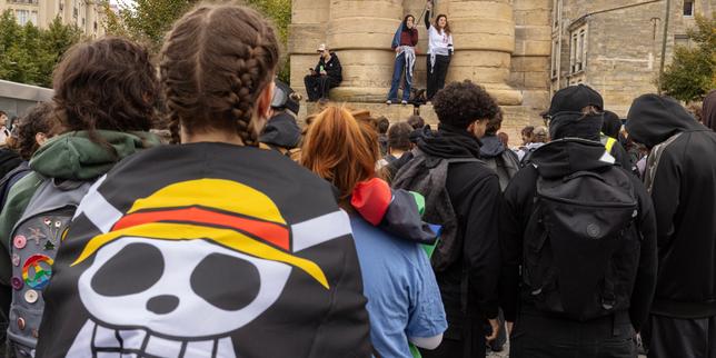 Manga characters bring rebellion and resilience to French protests
