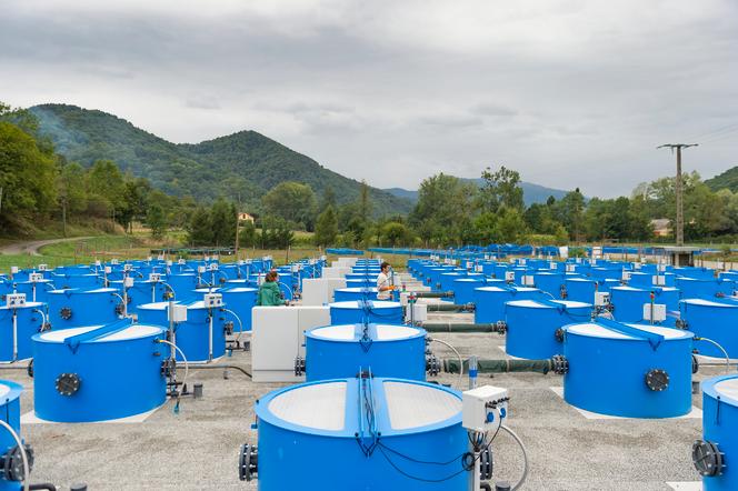 Plateforme du métatron aquatique de la Station d’écologie théorique et expérimentale (SETE), en Ariège, le 11 septembre 2019.  - CYRIL FRESILLON/SETE/CNRS IMAGES