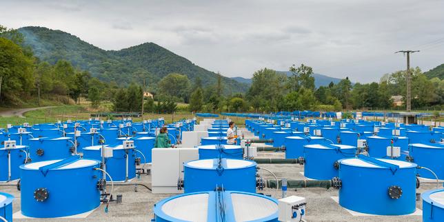 La foisonnante inventivité des chercheurs pour étudier les capacités d’adaptation des espèces