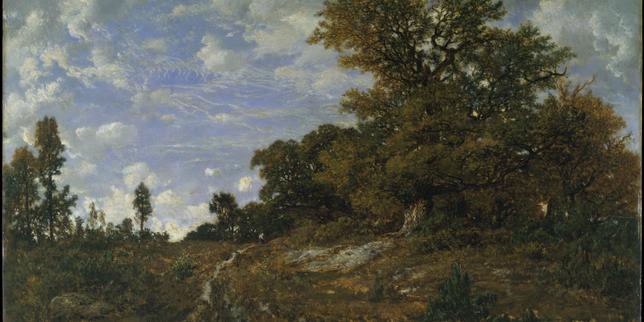 En 1872, George Sand prenait la défense de Fontainebleau : « Tout le monde a droit à la beauté et à la poésie de nos forêts »