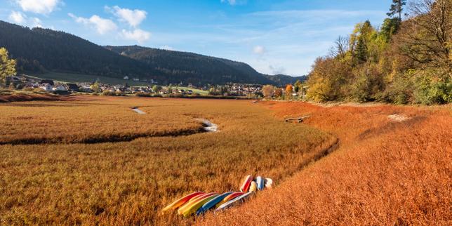 Sécheresse : la gestion de l’eau en France achoppe sur un manque de connaissances, notamment des prélèvements agricoles