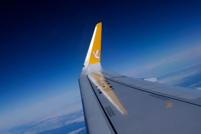 An Airbus A320-200 after takeoff from Istanbul Sabiha Gökçen International Airport, Turkey, March 5, 2016. - MURAD SEZER/REUTERS