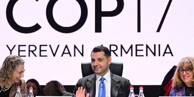 Biyoçeşitlilik üzerine COP17: Ülkeler doğa hedeflerini tekrar rayına oturtma konusunda anlaştı