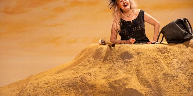 Théâtre, danse, cirque, comédie musicale, humour… Dix-sept spectacles à réserver en novembre