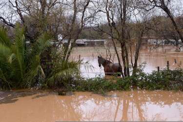 A horse is left surrounded by floodwaters after heavy rainfall and the overflow of the Gapeau river the previous days, in Hyeres, on January 19, 2014. The Orange alert announced by French authorities in reponse to heavy rainfall and floods in southern France has been lifted today in the Bouches-du-Rhone region but maintained until tomorrow in the Var. AFP PHOTO / ANNE-CHRISTINE POUJOULAT